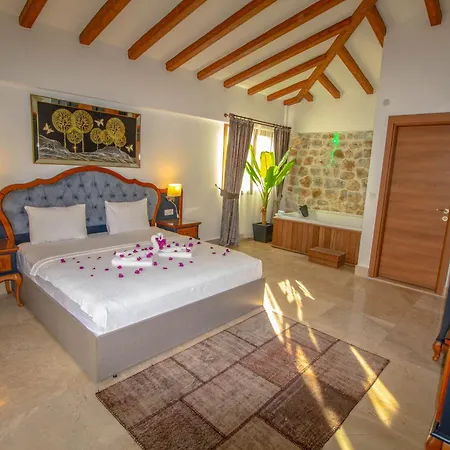 Patara Titanic 3+1 Villa, Oezel Havuzlu, 빌라 페티예